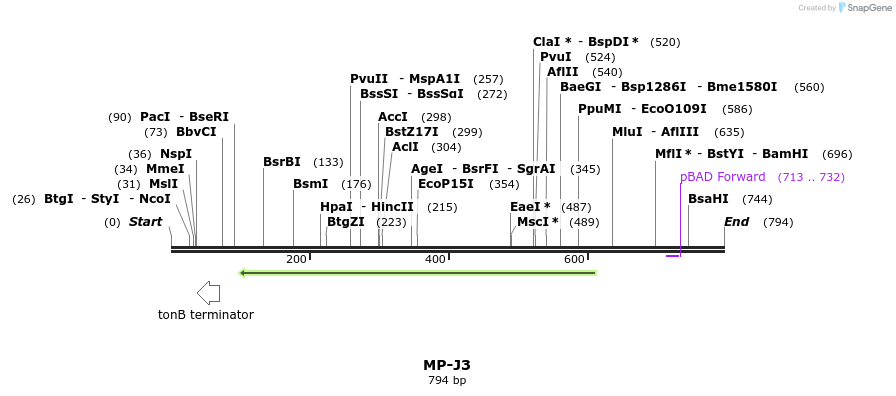 124609_map