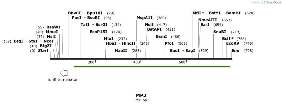 124610_map