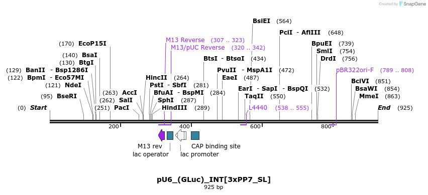 124613_map