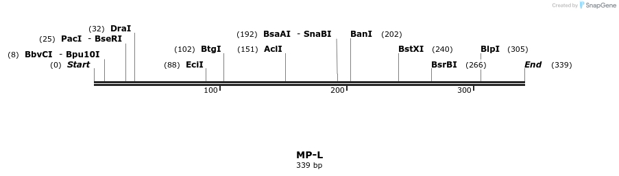 124616_map