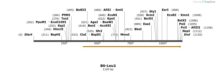 124617_map
