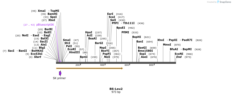 124619_map