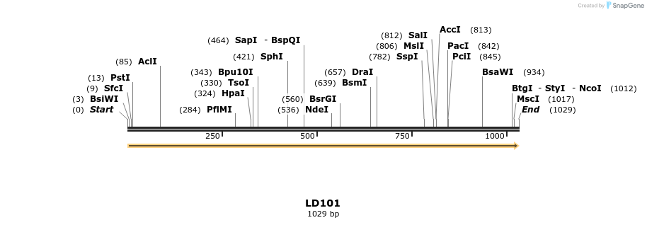 124620_map