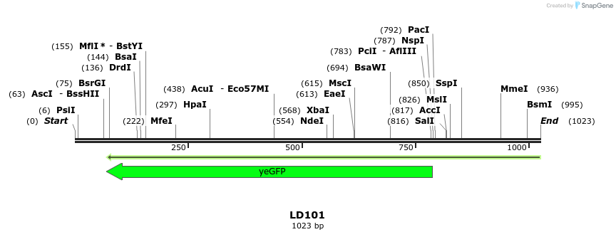 124621_map