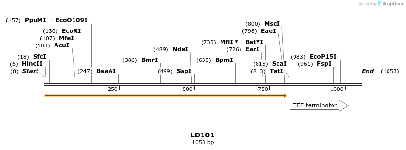 124622_map