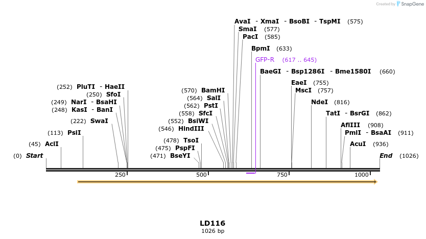 124626_map