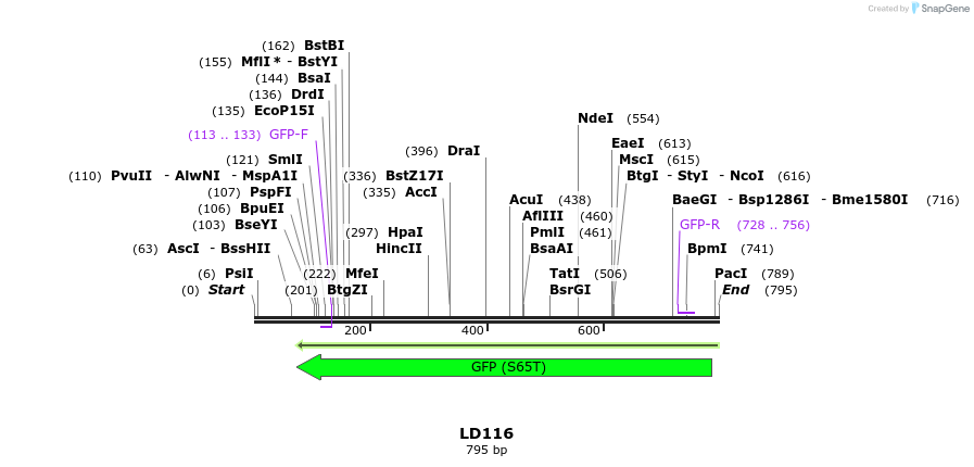 124627_map