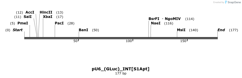 124630_map