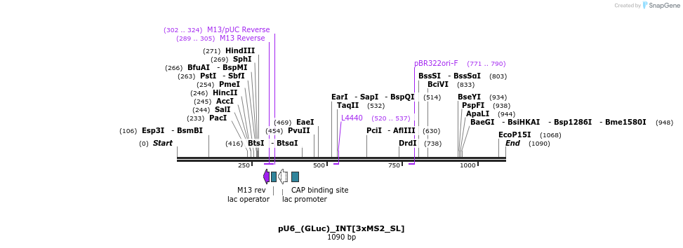124632_map