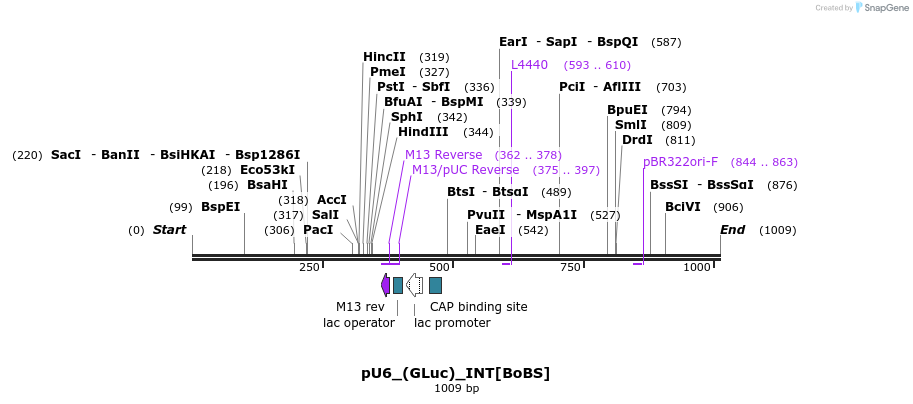 124638_map
