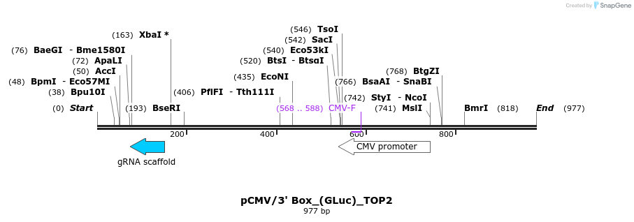 124646_map