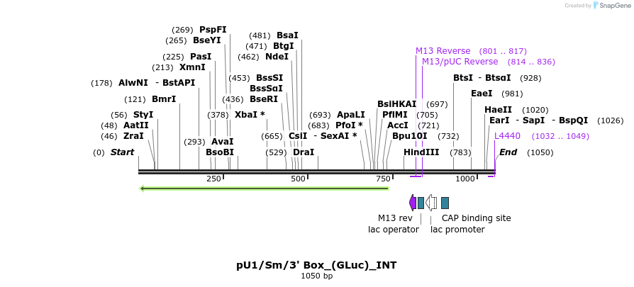 124651_map