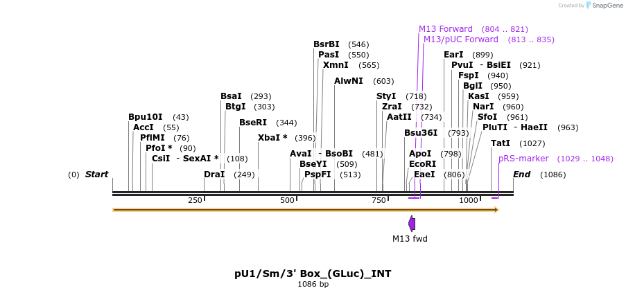 124652_map