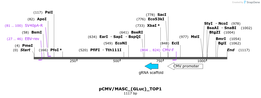 124654_map