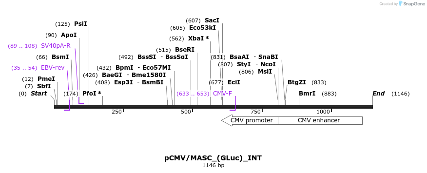 124658_map