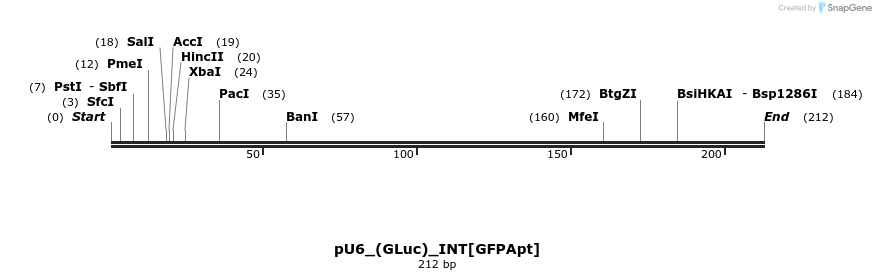 124670_map