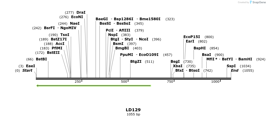 124671_map