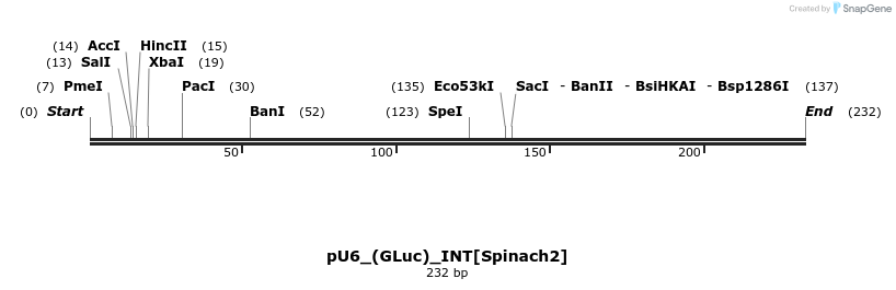 124675_map