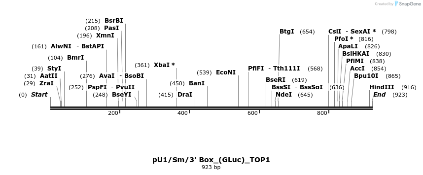 124679_map