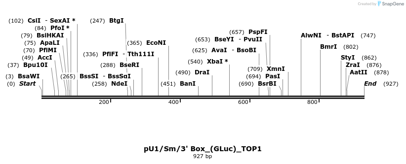 124680_map