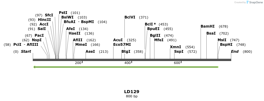 124682_map