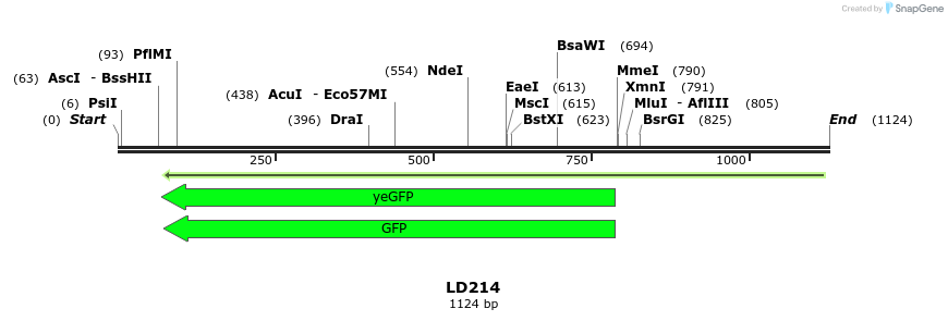 124684_map