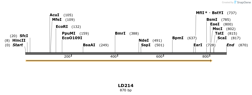 124685_map