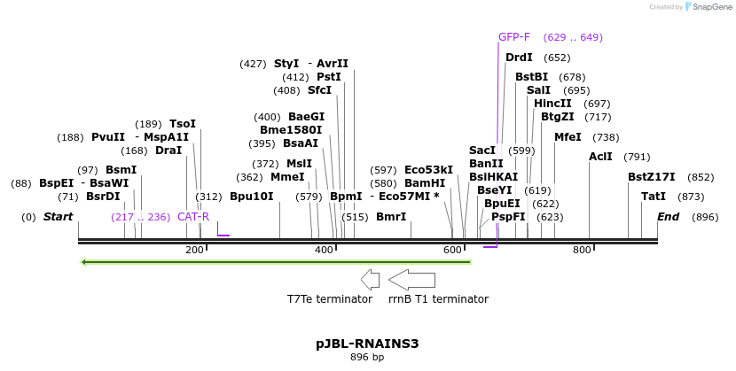 124696_map