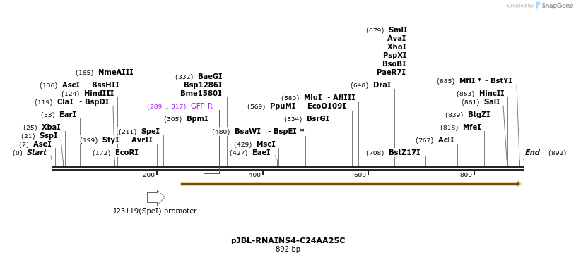 124700_map
