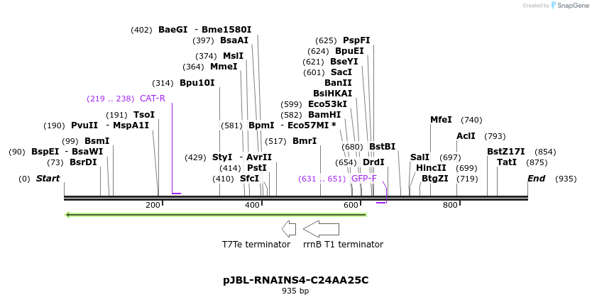 124702_map