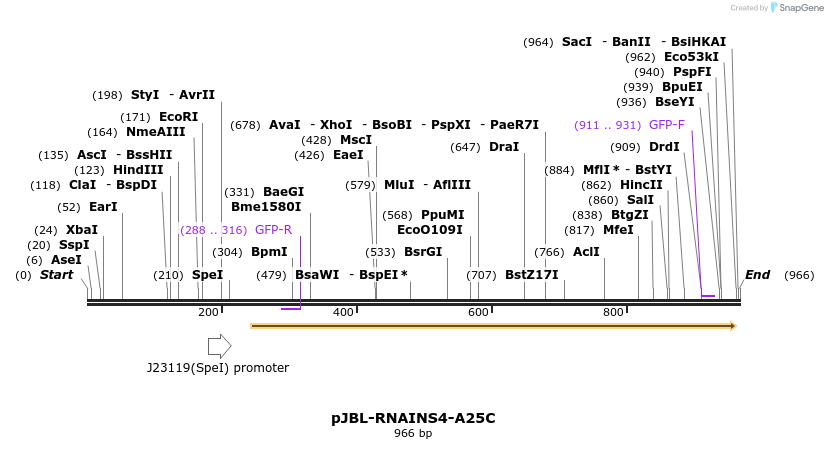 124703_map
