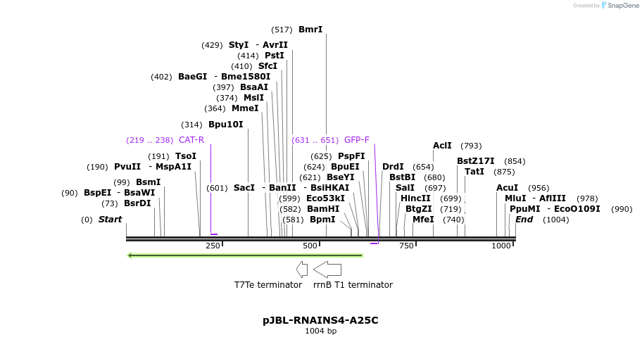 124704_map