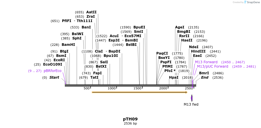 124718_map