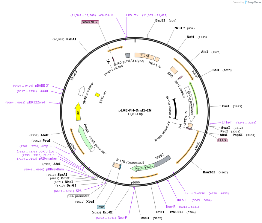 124725_map