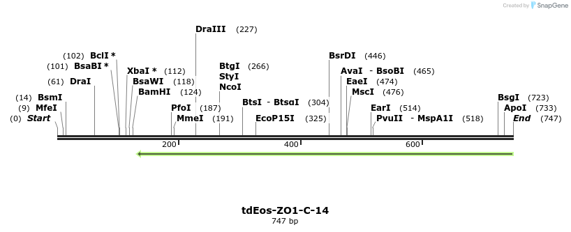 124734_map