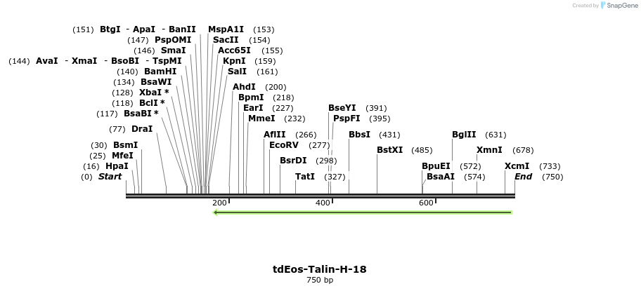 124736_map