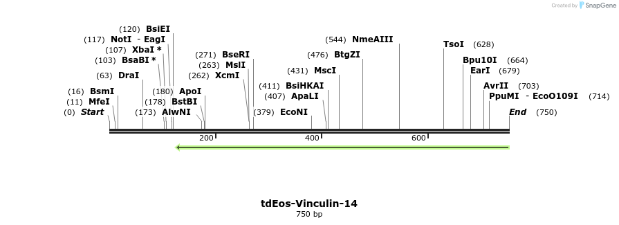124737_map