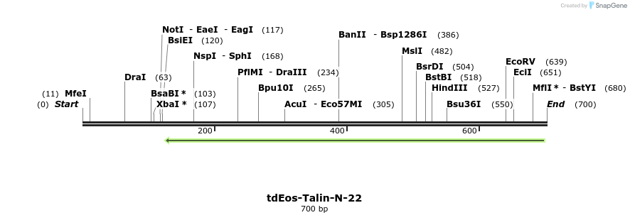 124738_map