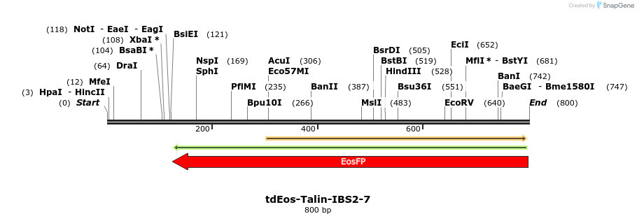 124739_map