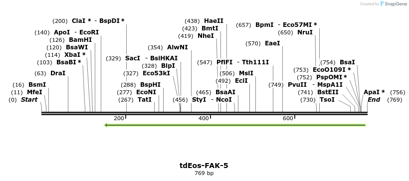 124740_map