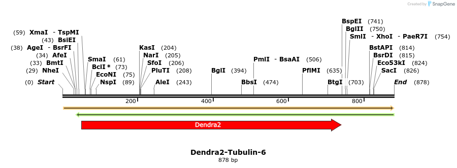 124745_map