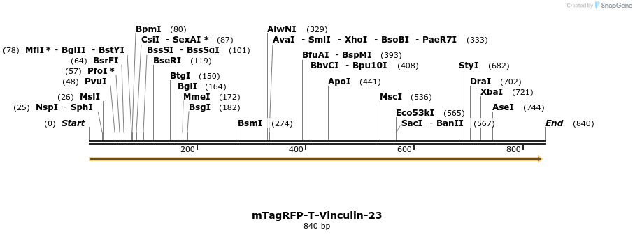 124748_map