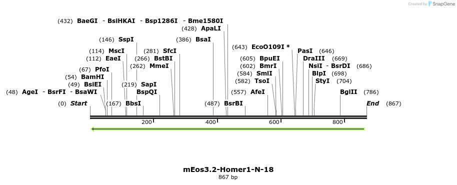 124752_map