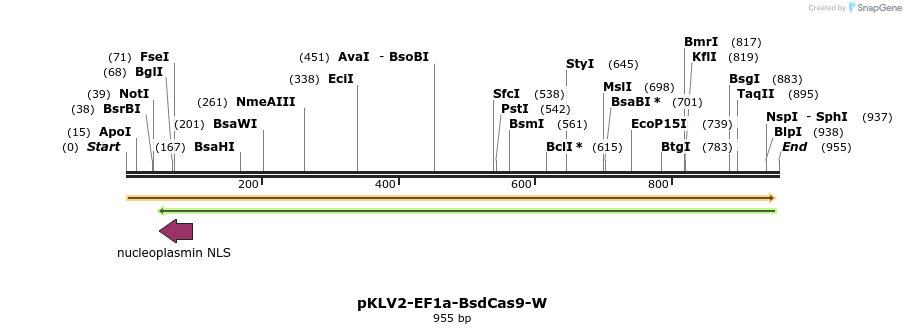 124754_map