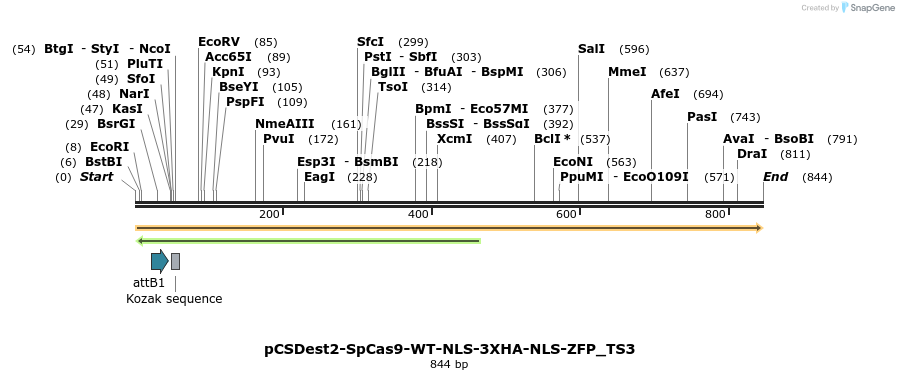 124756_map
