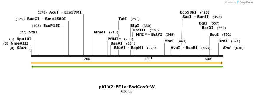 124767_map
