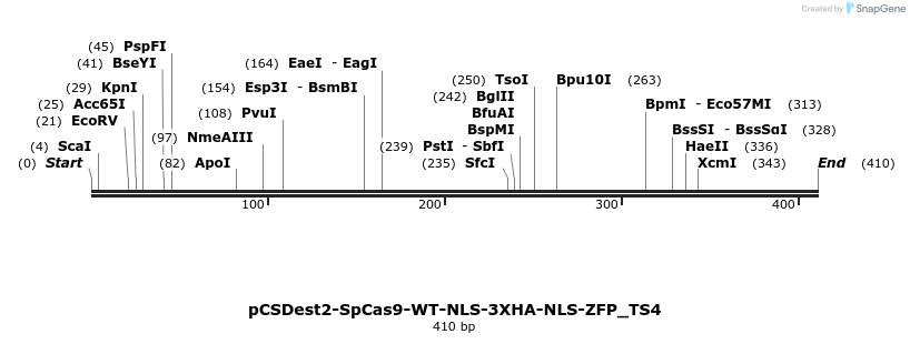 124768_map
