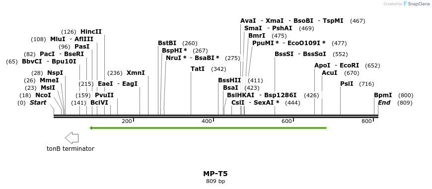 124771_map