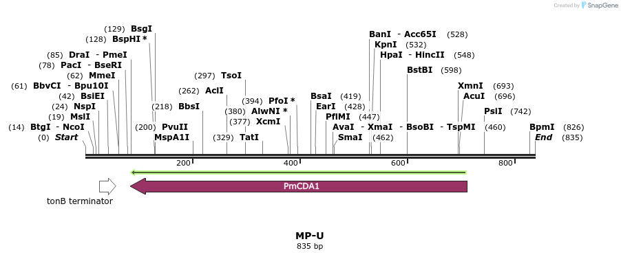 124772_map