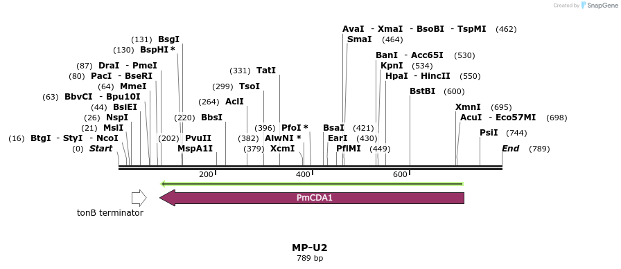 124773_map